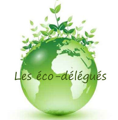 logo-ecodelegues-2020.jpg